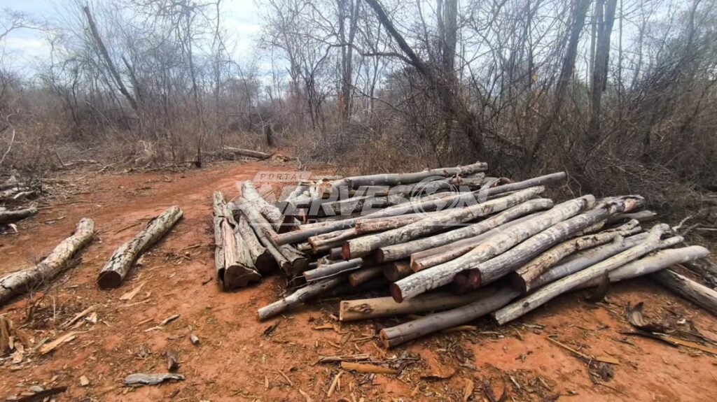 POLÍCIA MILITAR IDENTIFICA DESMATAMENTO DE CINCO HECTARES E APREENDE MOTOSSERRAS EM BREJOLÂNDIA.