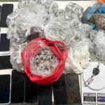 k9-na-capital:-batalhao-apolo-apreende-drogas-sinteticas-e-15-smartphones-em-sao-cristovao