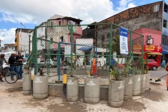 avenida-regis-pacheco-ganha-novo-ponto-verde-instalado-pela-limpurb