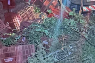 perdeu-o-controle:-motorista-morre-apos-capotamento-de-caminhao-em-morro-do-chapeu