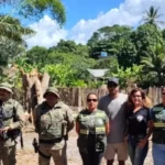 sem-licenca:-empresa-e-autuada-por-derrubar-arvores-de-grande-porte-em-caraiva