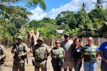 sem-licenca:-empresa-e-autuada-por-derrubar-arvores-de-grande-porte-em-caraiva