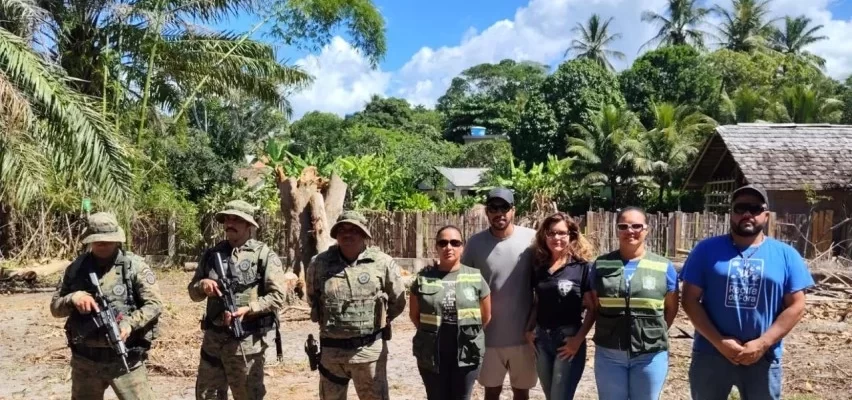 sem-licenca:-empresa-e-autuada-por-derrubar-arvores-de-grande-porte-em-caraiva